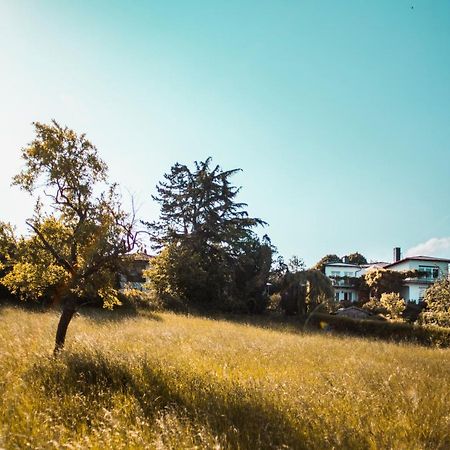 Bed & Breakfast Unter Den Linden Hungen Esterno foto
