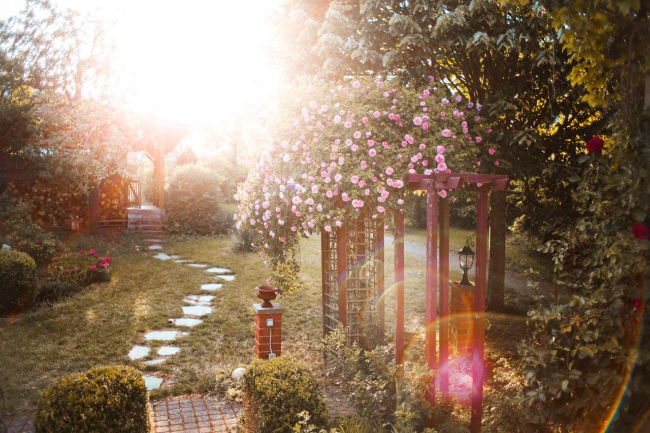 Bed & Breakfast Unter Den Linden Hungen Esterno foto